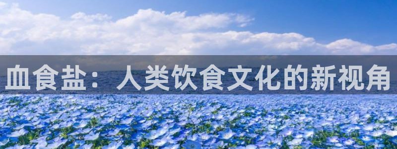 威九国际如何下载
