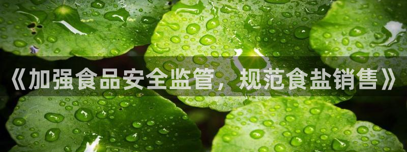 威九国际app网站官网