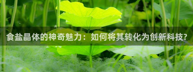 威九国际特殊奖励我的奖励竟然是嫂子