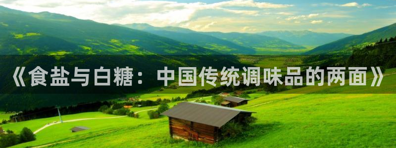 66m威九国际精选