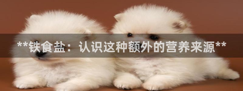 威九国际66m66m电影