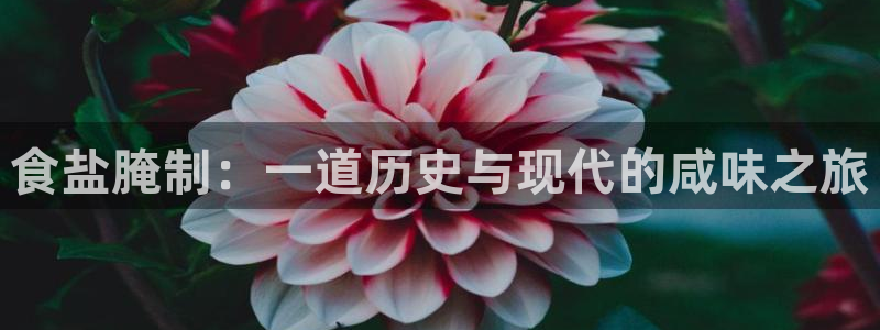 威九国际官网登录入口