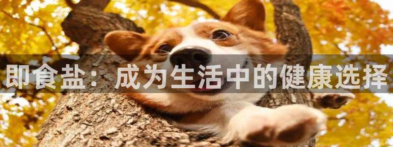 威九国际坑人的嘛