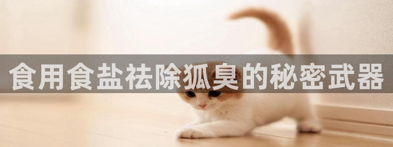 威九国际网站怎么样知乎