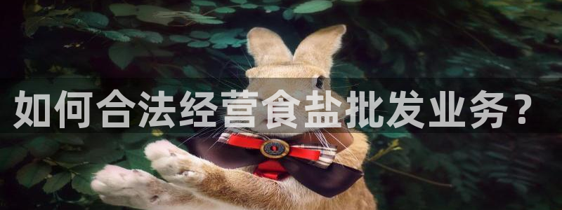 威九国际ppt免费下载网址：如何合法经营食盐批发业务？
