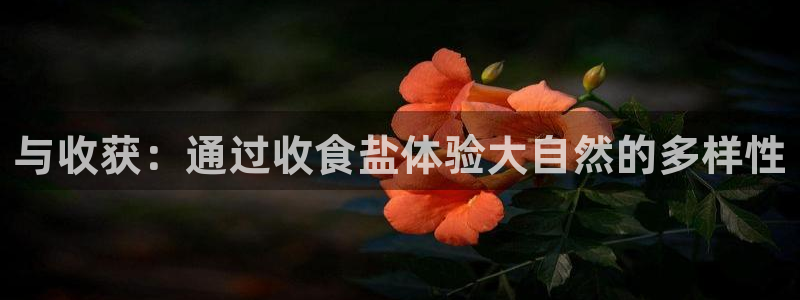 威九国际女星