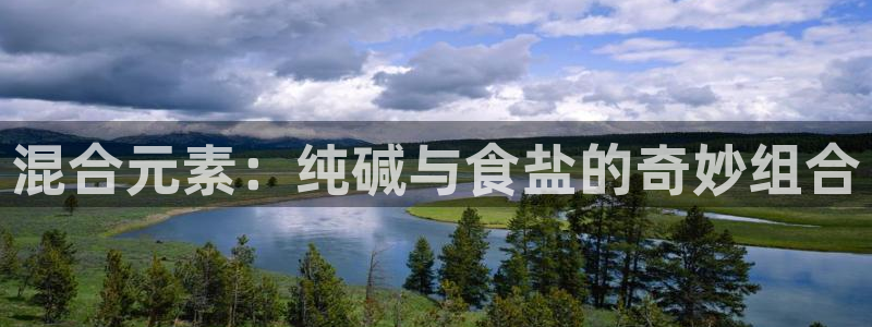 威九国际MM：混合元素：纯碱与食盐的奇妙组合